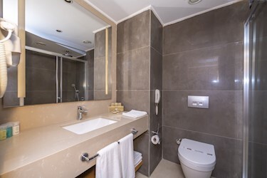 Luxury Sea View Room