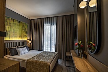 Standard Large Room