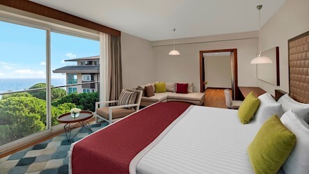 Executive Room